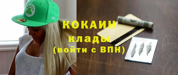 гашик Няндома