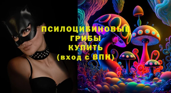 мет Снежногорск