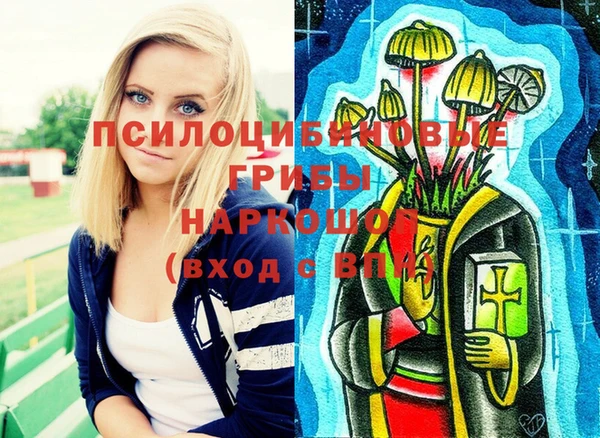 стаф Семёнов