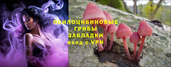 мет Снежногорск