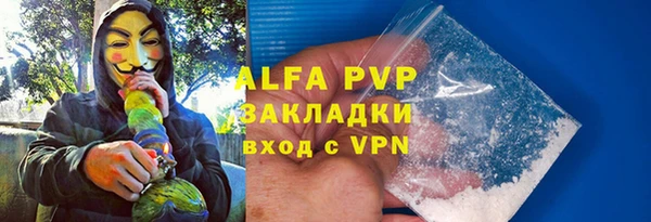 гидра Инсар