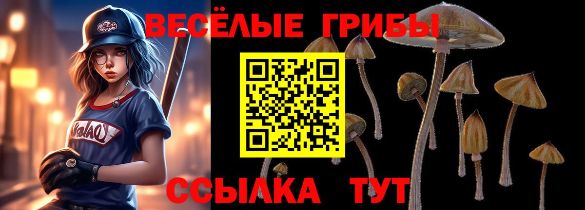 Галлюциногенные грибы прущие грибы  купить закладку  Вход с VPN  Урюпинск  Галлюциногенные грибы Cubensis 
